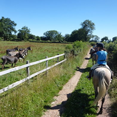 Ferme Equestre de Saint-Laurent