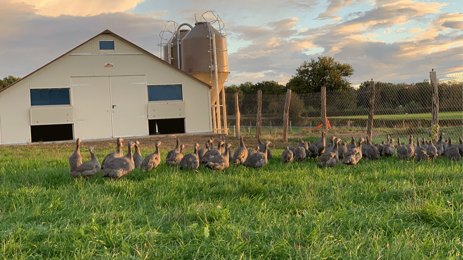 La Ferme de Marcelizon