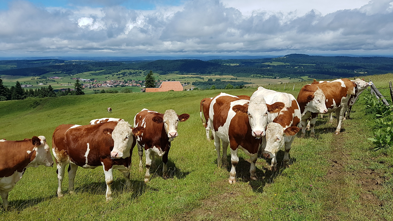 Crêt Monniot par les Cordiers