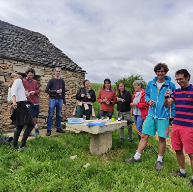 En pleine nature - marche nordique