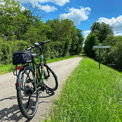 Location de vélos - Buxy 