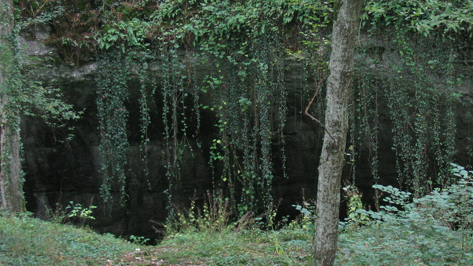 Grotte de la Baume Noire