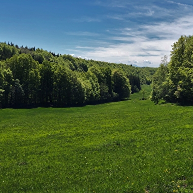 Parcours VTTAE 13 rouge - Le sud du Plateau de Retord - Espace FFC Ain Forestière