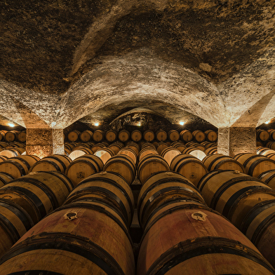 Dégustation Grands Terroirs au Château de Meursault