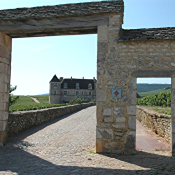 Circuit 03 : Du Clos Vougeot à Cîteaux - DIJON