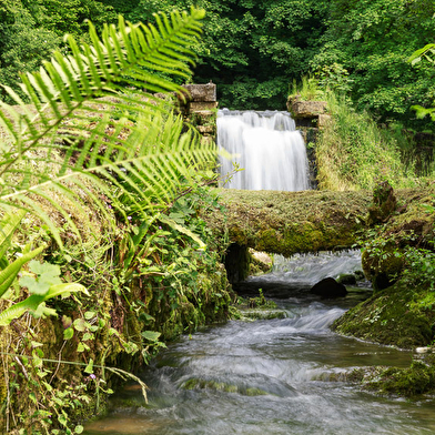 La source du suran