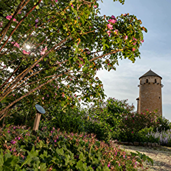 La Roseraie de Cluny - CLUNY