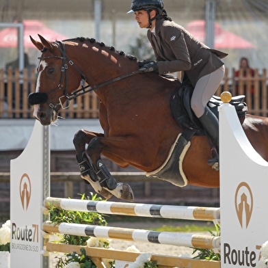 Concours Hippique - Hunter, dressage club