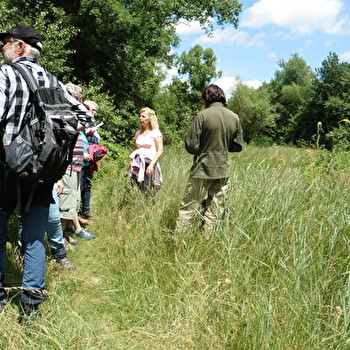 Sortie nature : Cuisine sauvage - MARZY