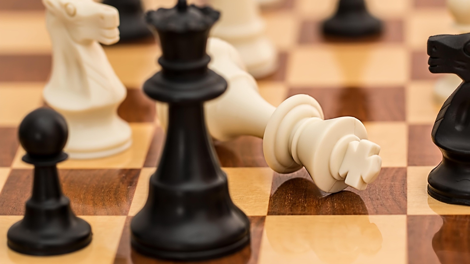Tournoi d'échecs