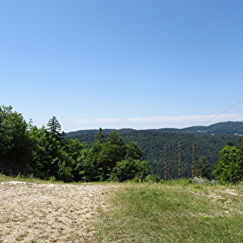 Circuit VTTAE - Les Hauts de Lajoux - MIJOUX