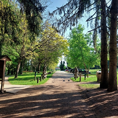 Parcours VTT 2 bleu - La forêt de Rothonne : Le Cerf - Espace FFC Ain Forestière