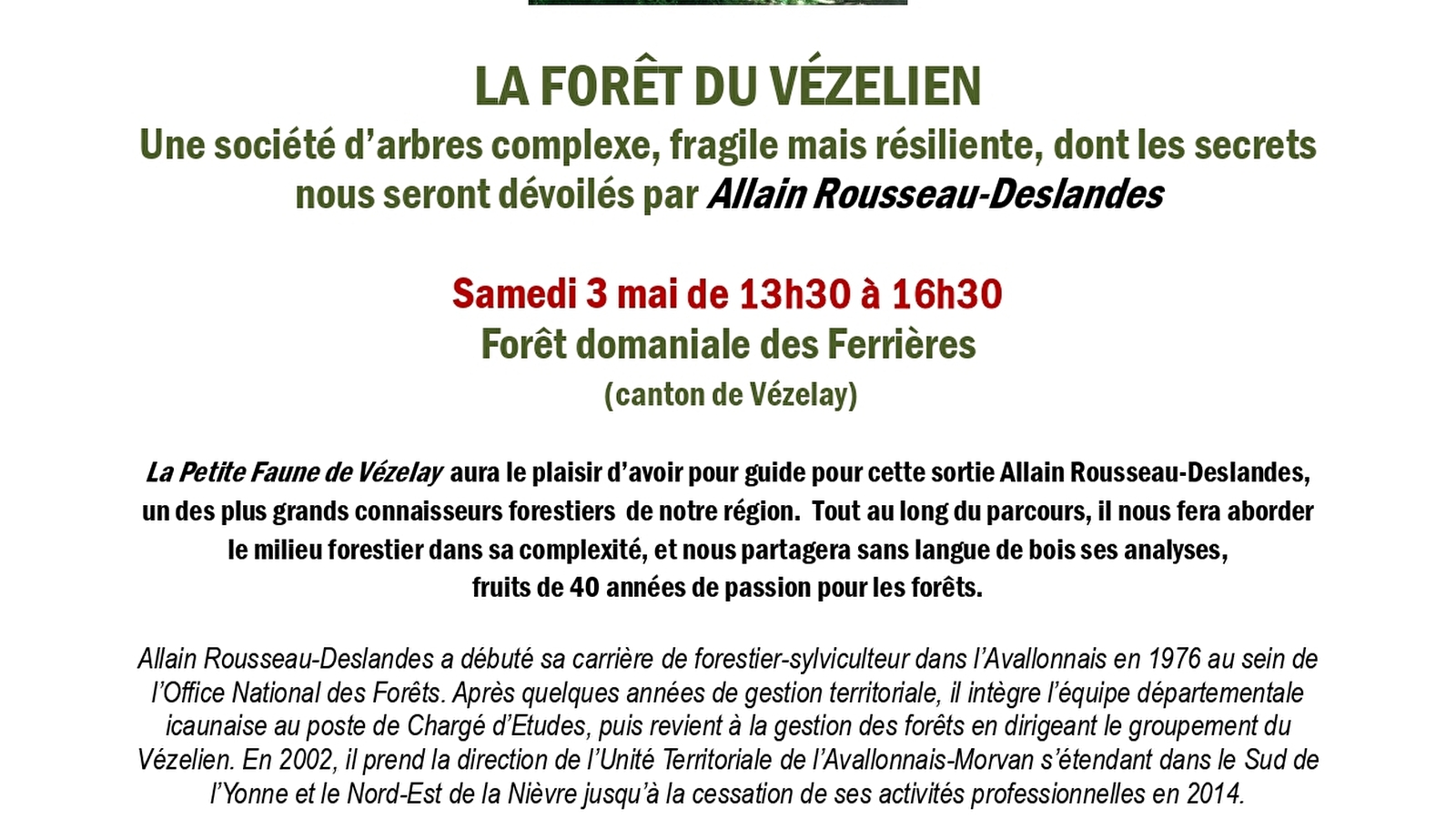 La forêt du Vézelien