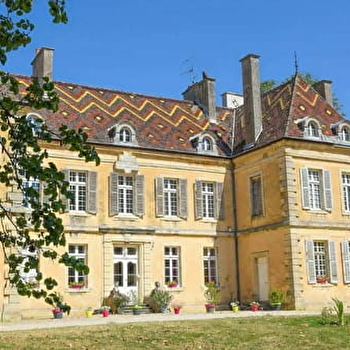 Studio du château - BRETENIERE