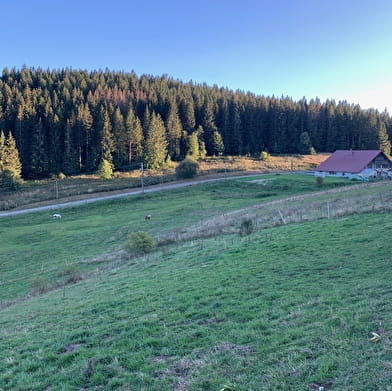 Auberge au coeur des rêves - hébergement en dortoir