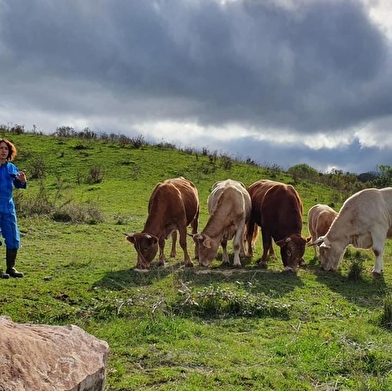 Ferme bio 'La clé des champs'