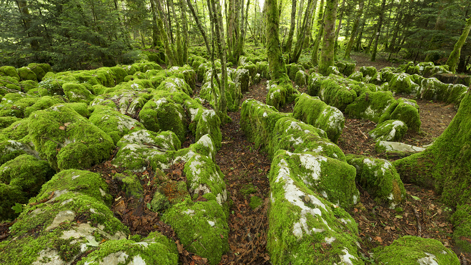 Le karst