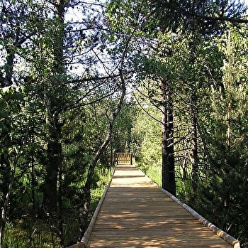 Tourbière des Creugnots - BONNETAGE