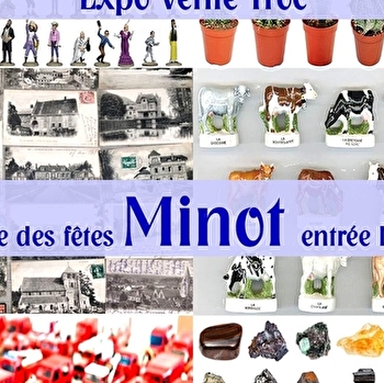Expo-vente-troc « Collections Passion » - MINOT