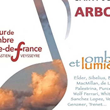 Ombre et lumière - ARBOIS