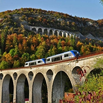 Excursion Ligne des Hirondelles - Formule À l'assaut des viaducs ! - HAUTS DE BIENNE