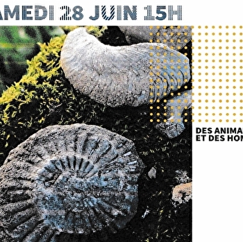 Visite guidée- Des Animaux et des Hommes- Veilly - VEILLY