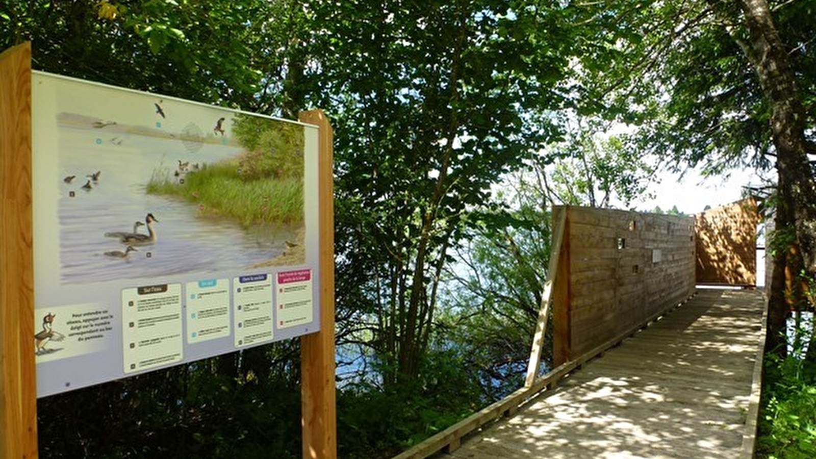 Le sentier des rives du lac du Bouverans