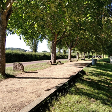 Aire de pique-nique