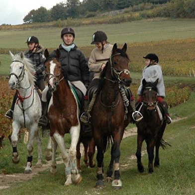 Poney Club de Saint-Christophe-en-Bresse 