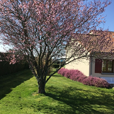 Gîte Belle-Vue