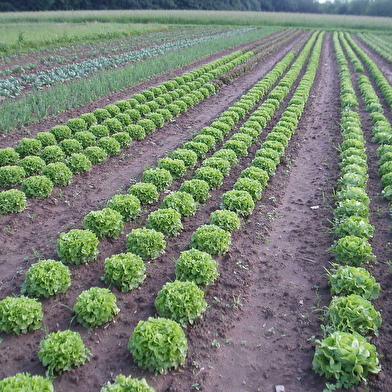 La Ferme du Chemin d'Acey