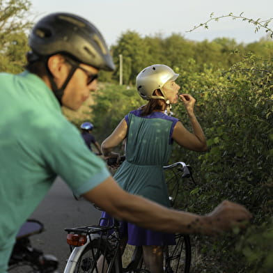 CycloRoute71 - Etape 9 de Bourbon-Lancy à Paray-le-Monial