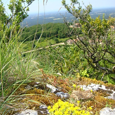 Les Conches, la sainte colline du Revermont