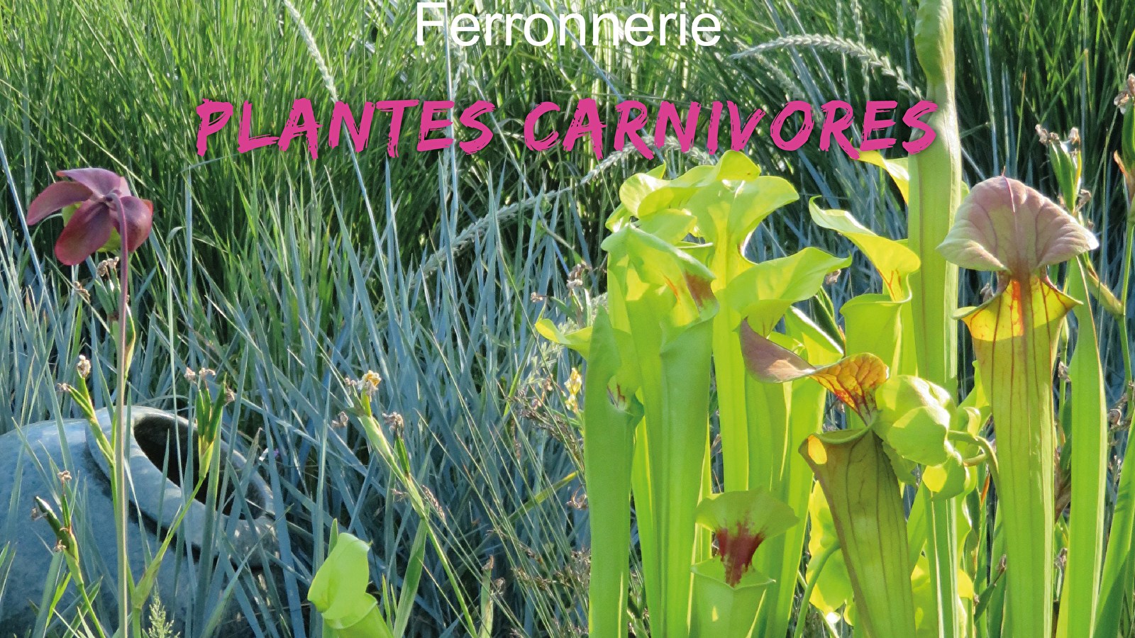 PRINTEMPS