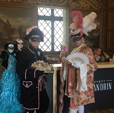 Venise et Vins au Palais - Carnaval Vénitien et salon des Vins