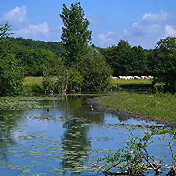 La promenade Jongkind (Poêlonnerie) - GUERIGNY