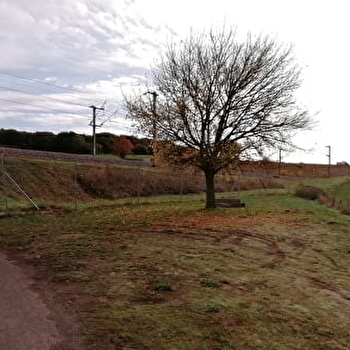 Lieu de parachutage - Seconde Guerre mondiale - LE PULEY