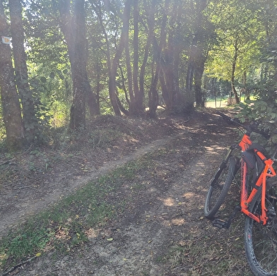 Circuit VTT-VTC n°8 (rouge) - Sur les crêtes de la Vallée du Sevron