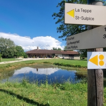 Circuit VTT-VTC n°26 (noir) - Tour de St Didier d'Aussiat - MONTREVEL-EN-BRESSE