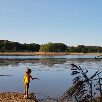 Le long de la Laigne, en Châtillonnais