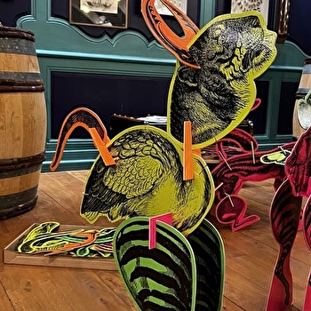 Escapades nature : 'Cabinet de curiosités et ses fabuleuses créatures et objets extraordinaires' - CUISERY