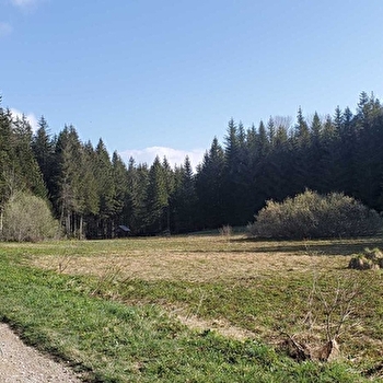 La borne des 3 cantons - Parcours de trail n°20 - PLATEAU D'HAUTEVILLE