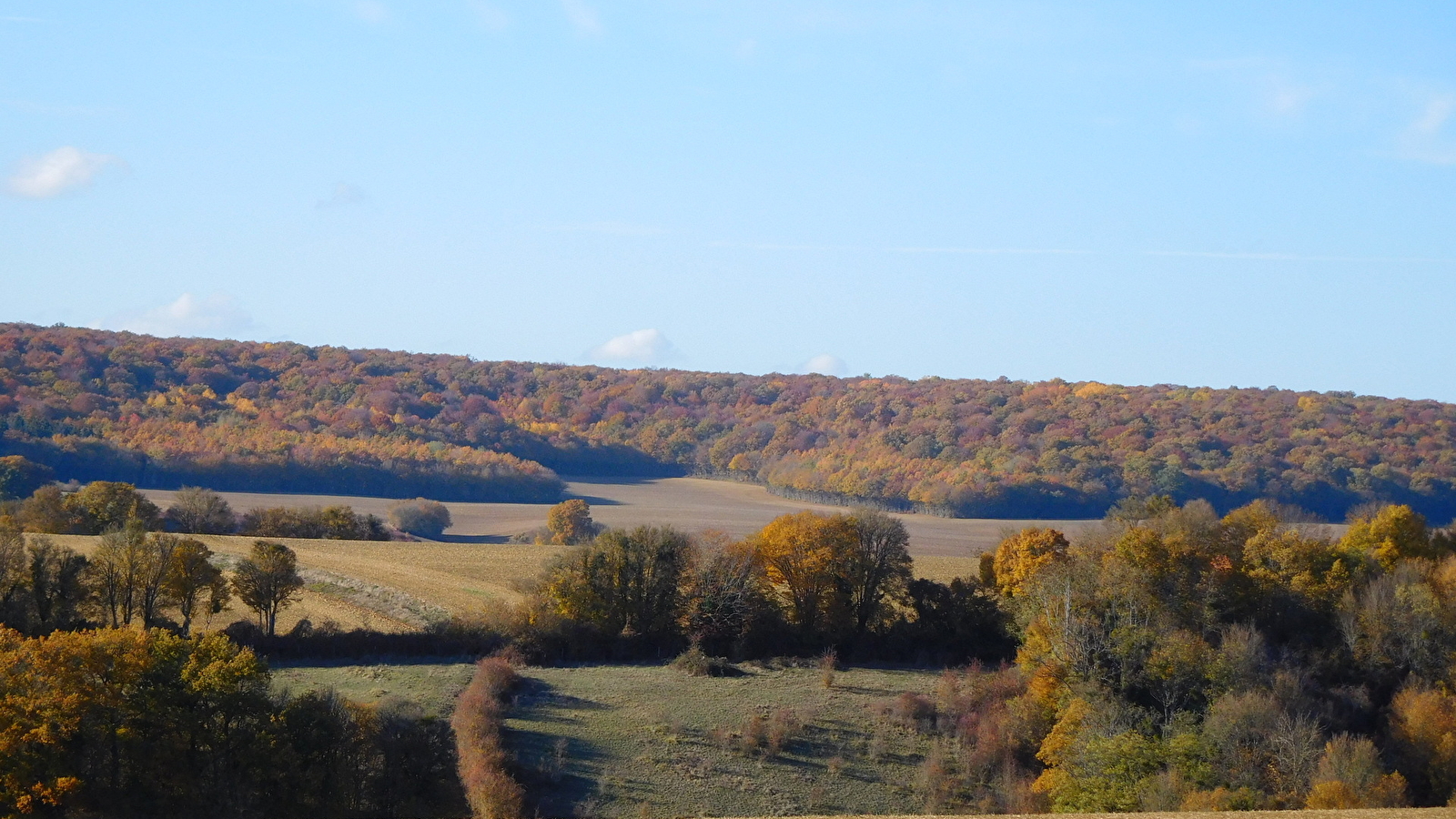 Bocages et paysages 