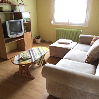 Appartement des Chaseaux - NANCRAY