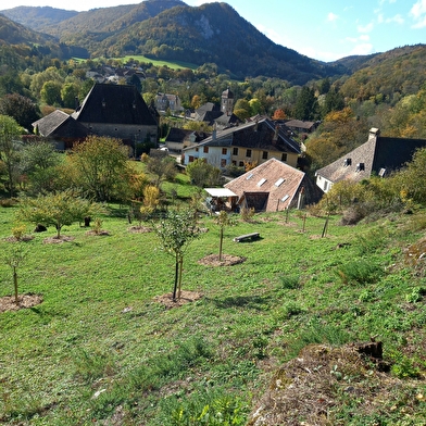 Verger communal de sauvegarde de Nans-sous-Sainte-Anne