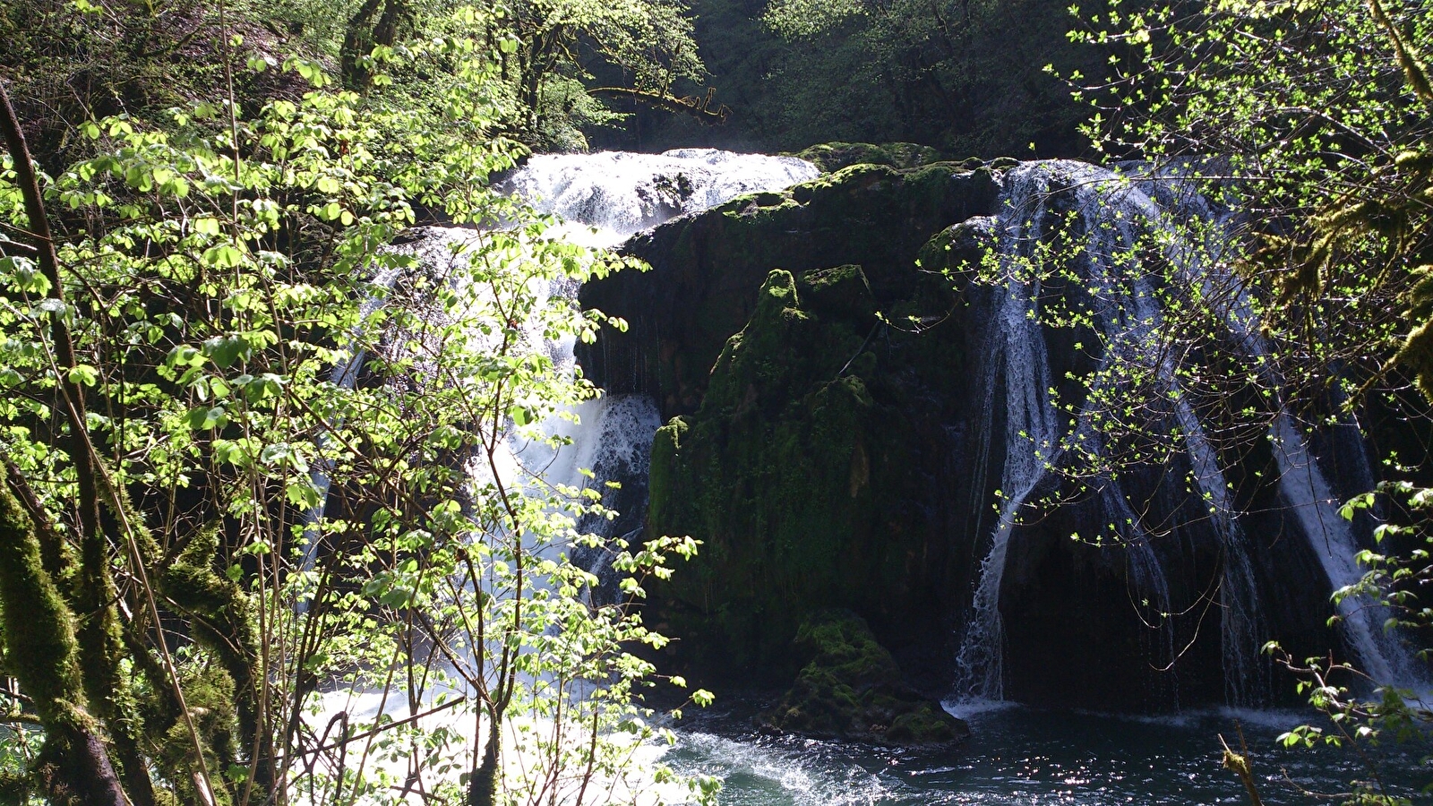 Le grand saut