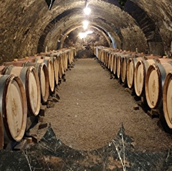 Les Dessous de Meursault, une visite culottée - MEURSAULT
