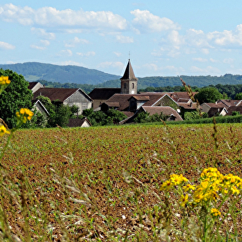 POUILLEY-FRANCAIS - POUILLEY-FRANCAIS