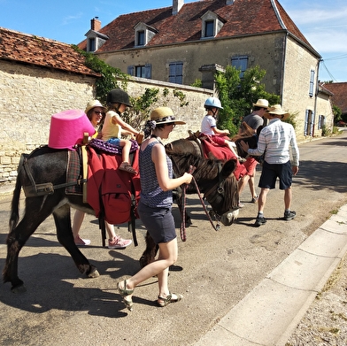 Donkey Ane, les ânes du Petit bonheur 21