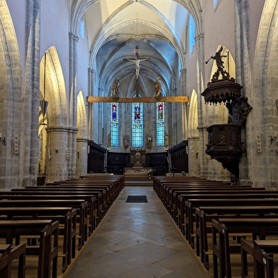 La collégiale Saint-Hippolyte 